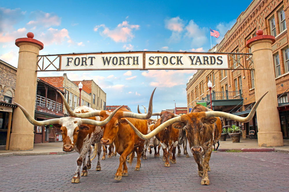 Luxurylifestyle Mag Exclusive May 2026 Special News / Where The West Begins: How To Spend 48 Hours in Fascinating Fort Worth / By Rebecca Underwood